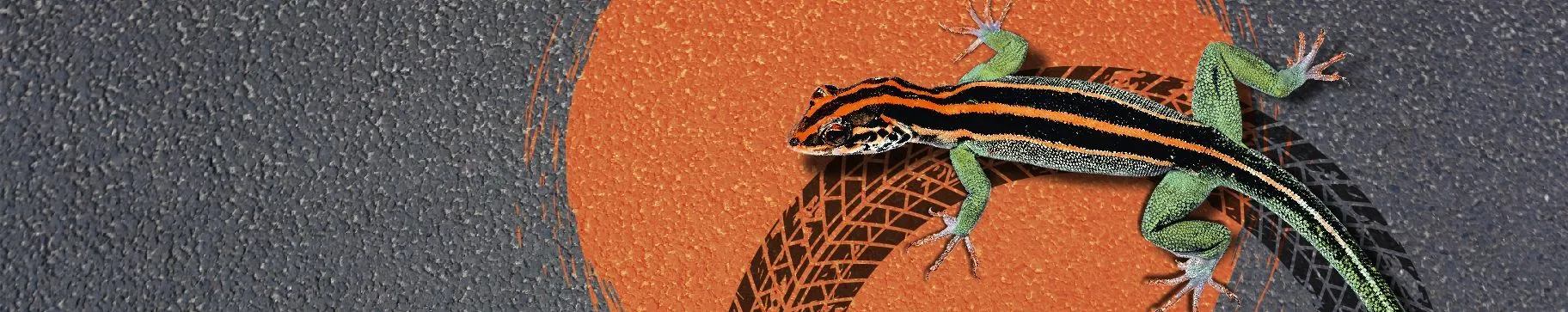 ШИНЫ, РТИ И КАУЧУКИ-2025